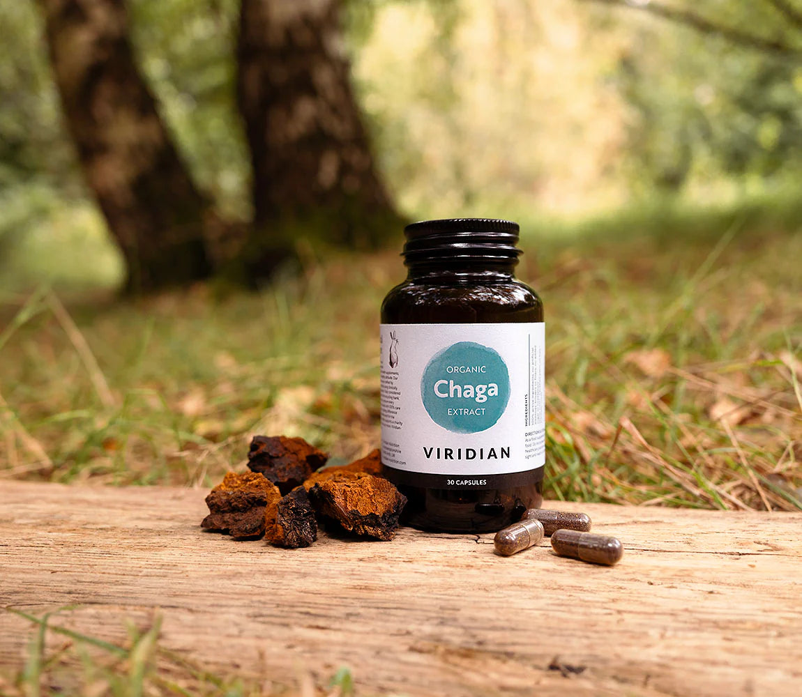 Chaga Extract - 30 capsules (1 month supply)