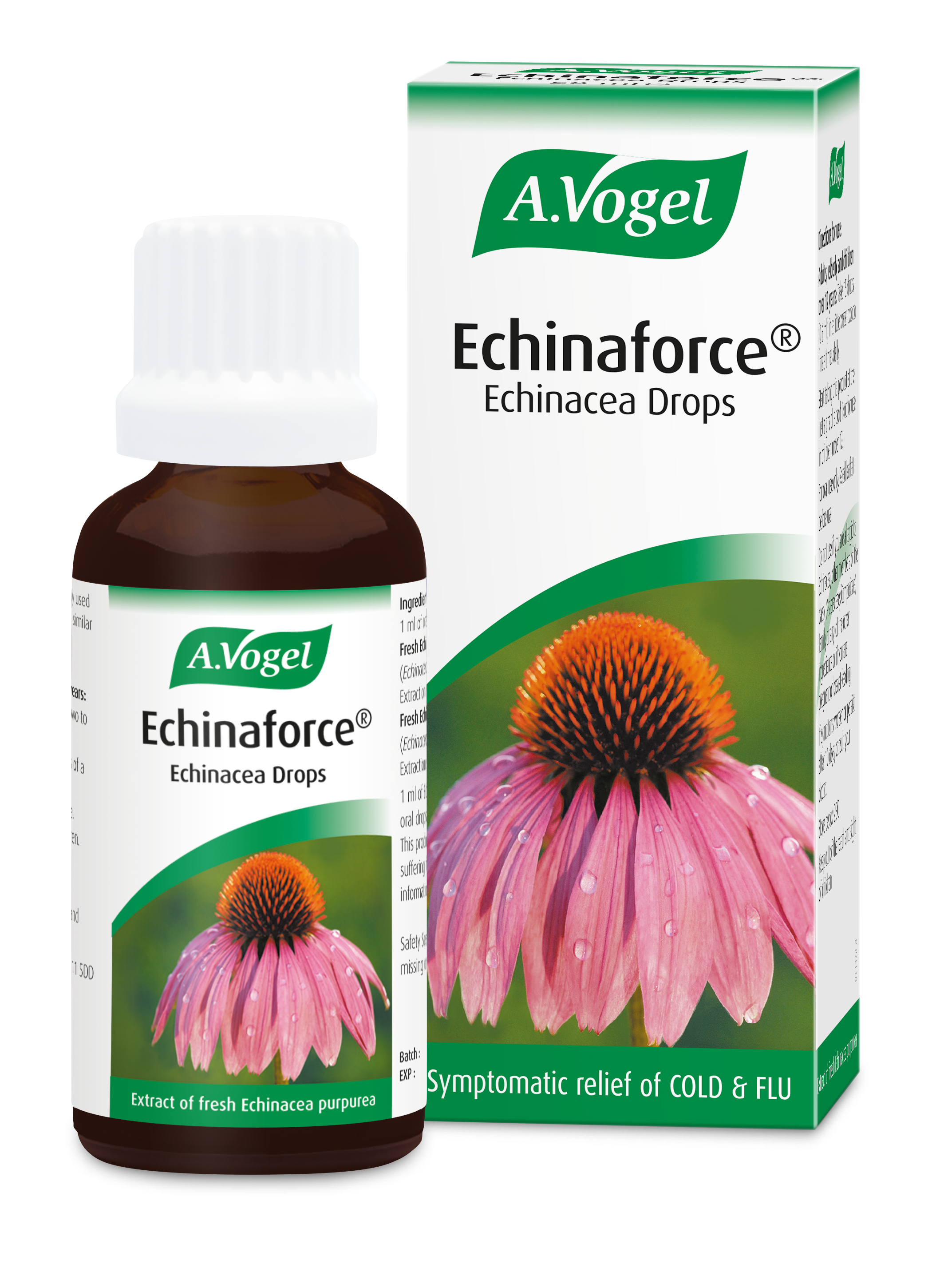 Echinacea - 100mls